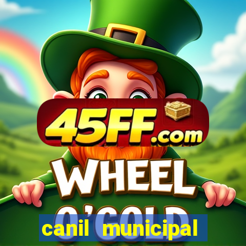 canil municipal porto alegre